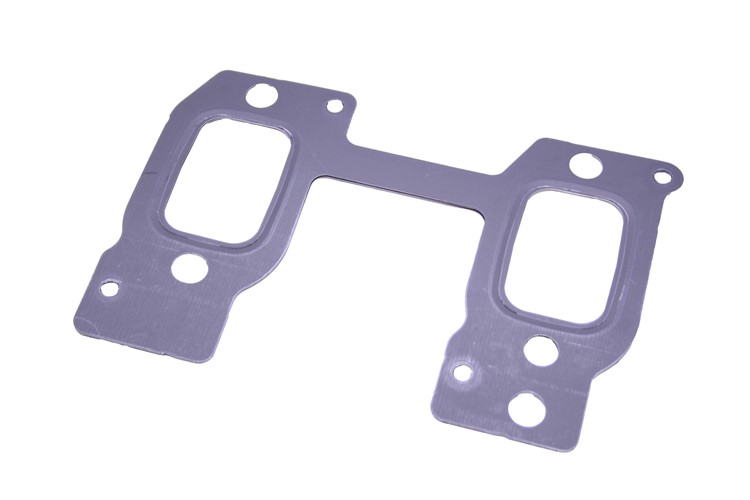 MANIFOLD GASKET
