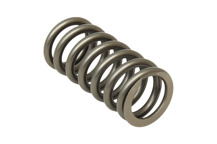 VALVE SPRING