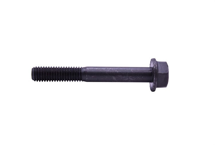 FLANGE SCREW